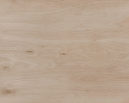 Fenolico Euco 18mm 244x122